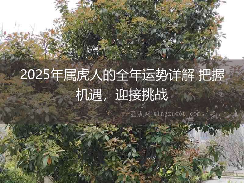 2025年屬虎人的全年運勢詳解 把握機遇，迎接挑戰