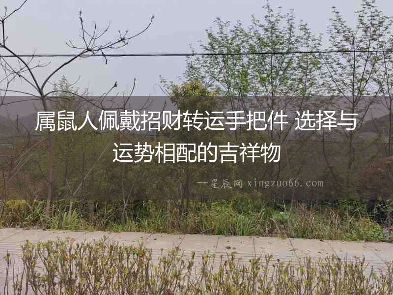 屬鼠人佩戴招財轉(zhuǎn)運手把件 選擇與運勢相配的吉祥物