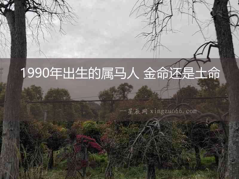 1990年出生的屬馬人 金命還是土命
