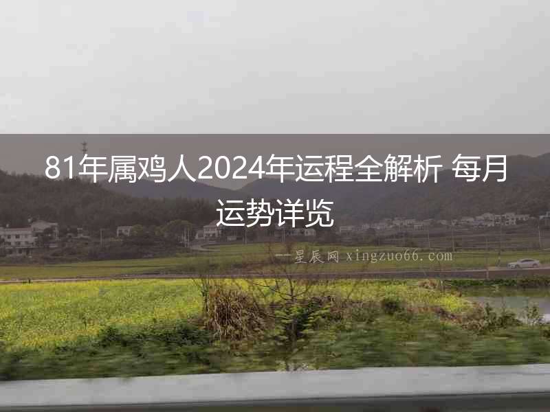 81年屬雞人2024年運程全解析 每月運勢詳覽