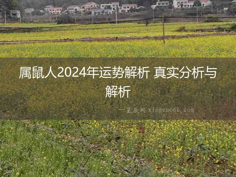 屬鼠人2024年運勢解析 真實分析與解析