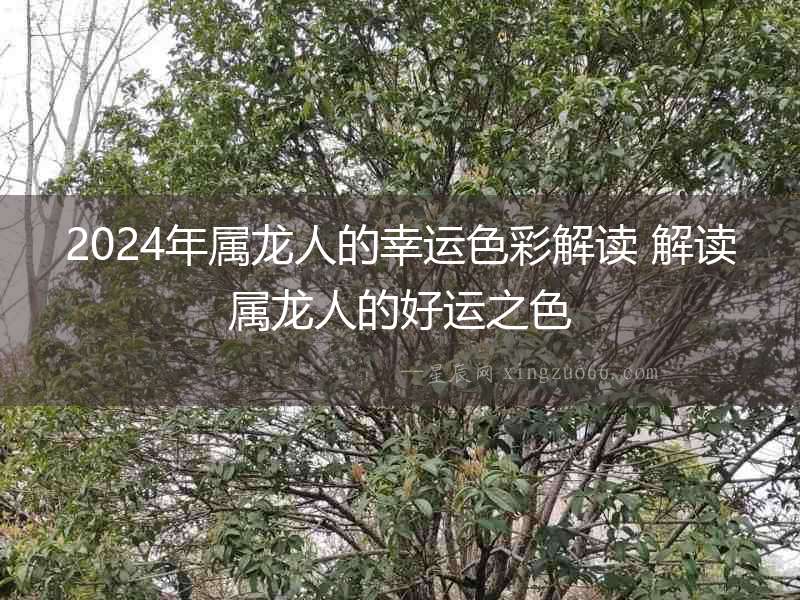 2024年屬龍人的幸運色彩解讀 解讀屬龍人的好運之色