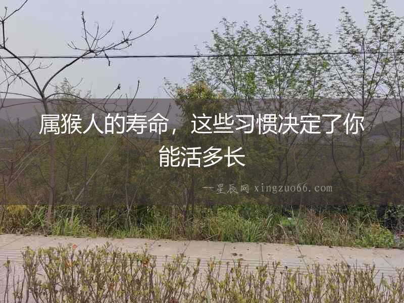 屬猴人的壽命，這些習慣決定了你能活多長