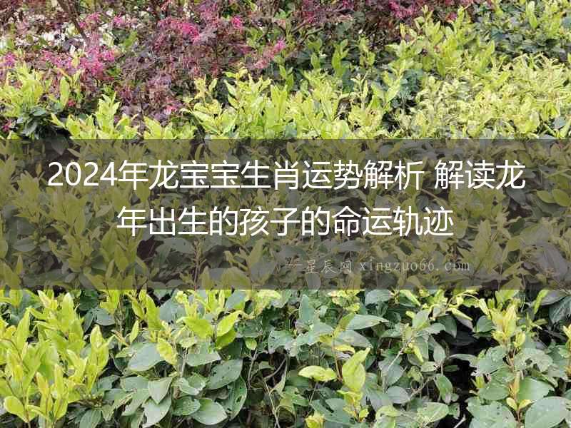 2024年龍寶寶生肖運勢解析 解讀龍年出生的孩子的命運軌跡