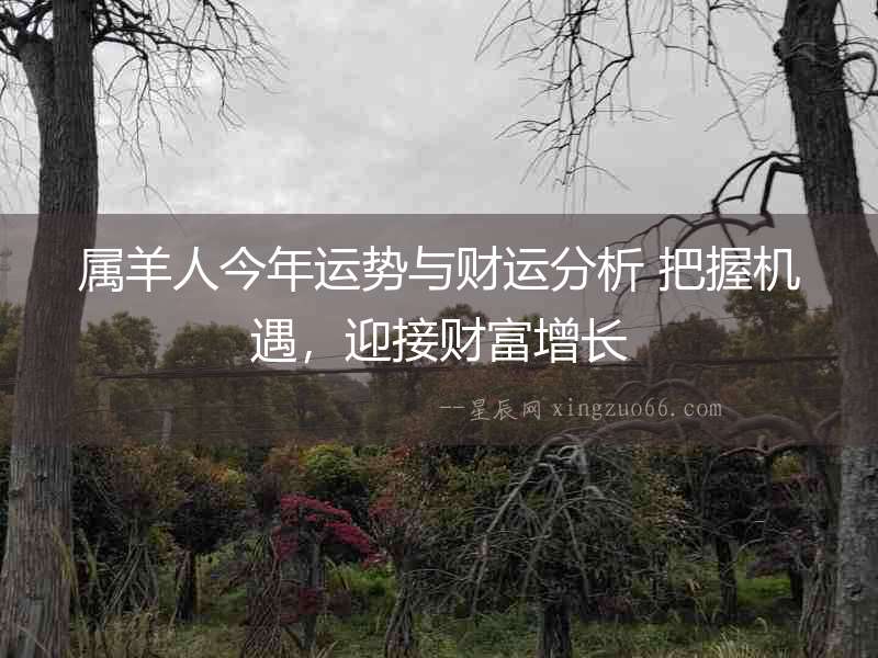 屬羊人今年運勢與財運分析 把握機遇，迎接財富增長