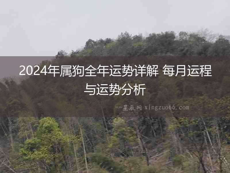 2024年屬狗全年運勢詳解 每月運程與運勢分析