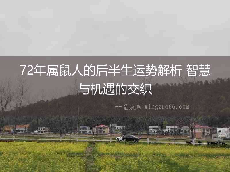 72年屬鼠人的后半生運勢解析 智慧與機遇的交織