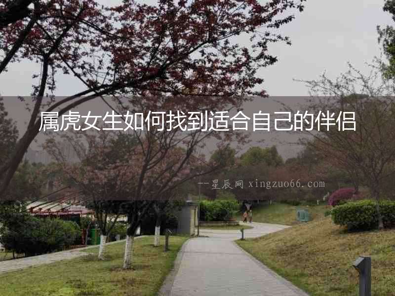 屬虎女生如何找到適合自己的伴侶