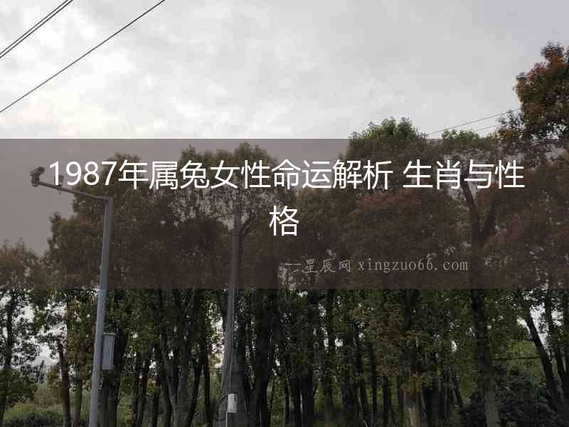 1987年屬兔女性命運解析 生肖與性格