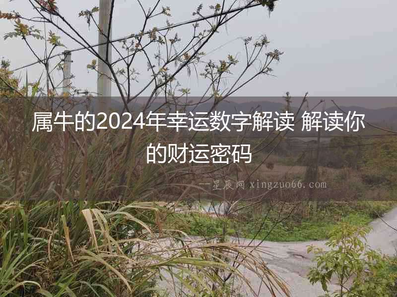 屬牛的2024年幸運數字解讀 解讀你的財運密碼
