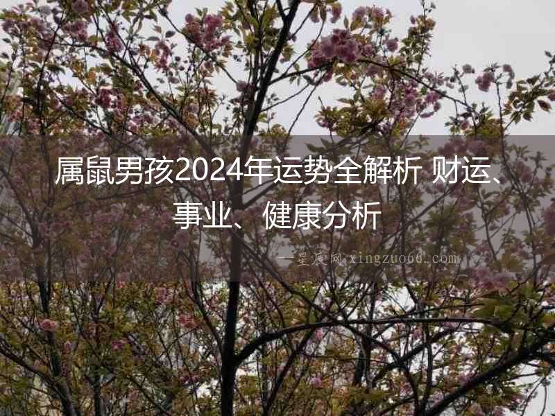 屬鼠男孩2024年運(yùn)勢全解析 財(cái)運(yùn)、事業(yè)、健康分析