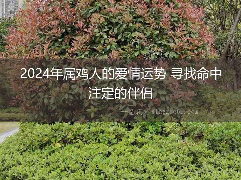 2024年屬雞人的愛情運勢 尋找命中注定的伴侶
