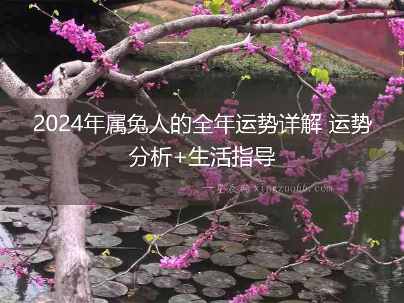 2024年屬兔人的全年運勢詳解 運勢分析+生活指導