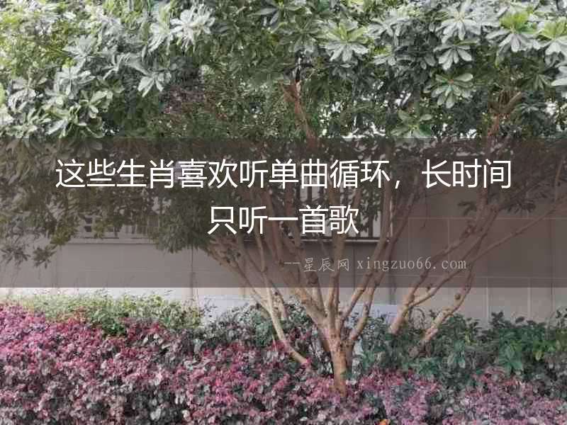 這些生肖喜歡聽單曲循環，長時間只聽一首歌