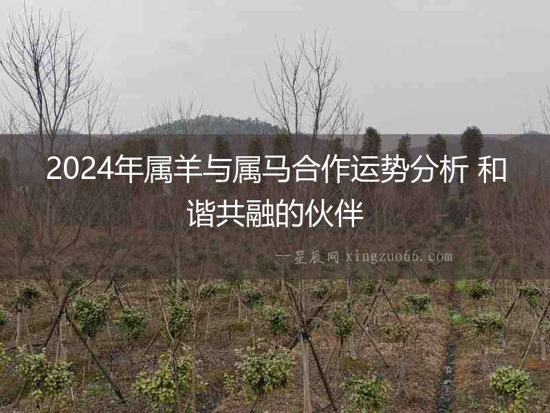 2024年屬羊與屬馬合作運勢分析 和諧共融的伙伴