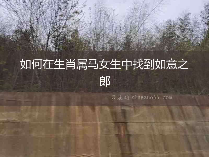 如何在生肖屬馬女生中找到如意之郎
