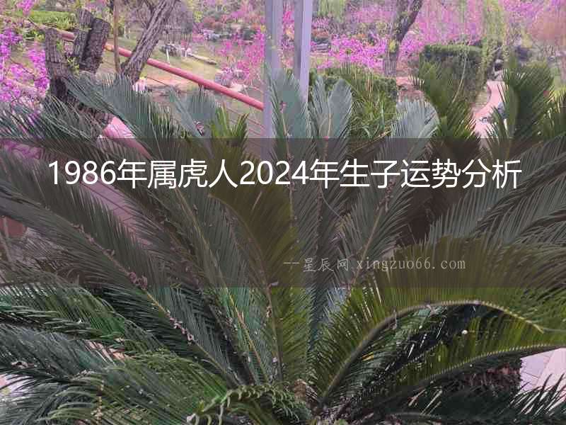 1986年屬虎人2024年生子運勢分析