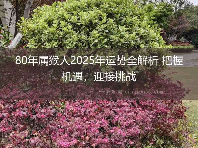 80年屬猴人2025年運(yùn)勢(shì)全解析 把握機(jī)遇，迎接挑戰(zhàn)
