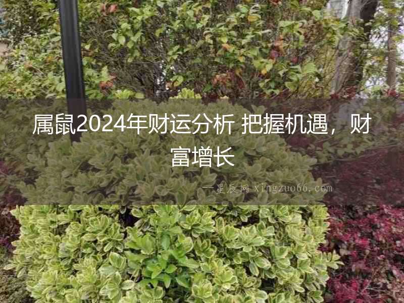 屬鼠2024年財運分析 把握機遇，財富增長