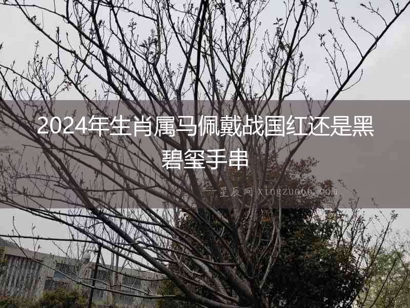 2024年生肖屬馬佩戴戰國紅還是黑碧璽手串