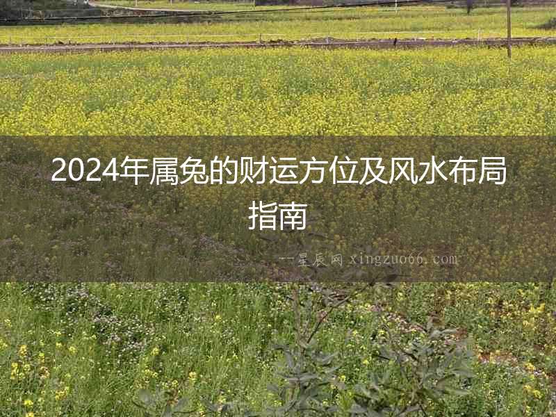 2024年屬兔的財運方位及風水布局指南