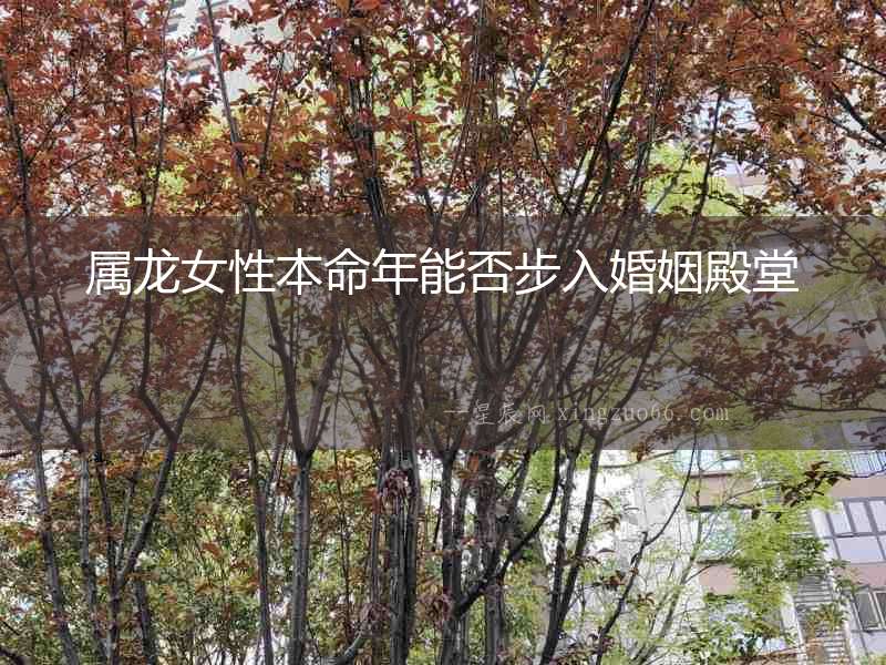屬龍女性本命年能否步入婚姻殿堂
