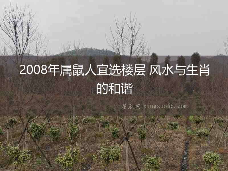 2008年屬鼠人宜選樓層 風水與生肖的和諧