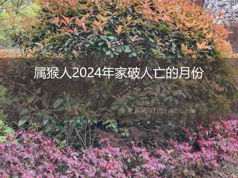 屬猴人2024年家破人亡的月份