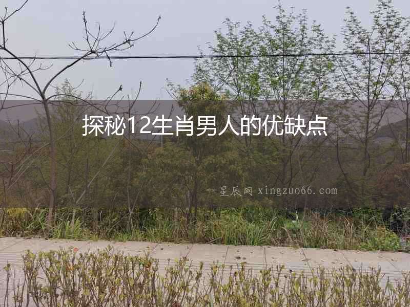 探秘12生肖男人的優缺點