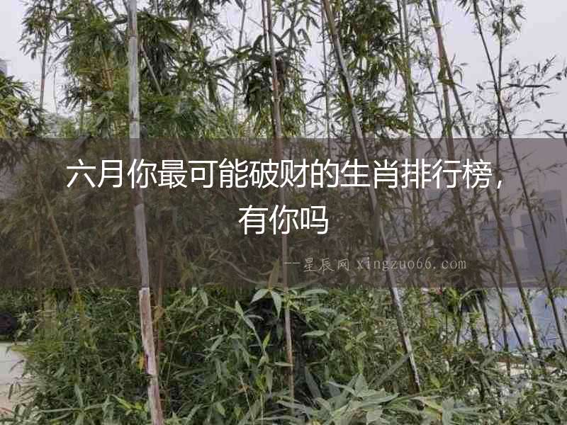 六月你最可能破財的生肖排行榜，有你嗎