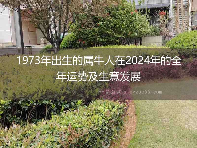 1973年出生的屬牛人在2024年的全年運勢及生意發展