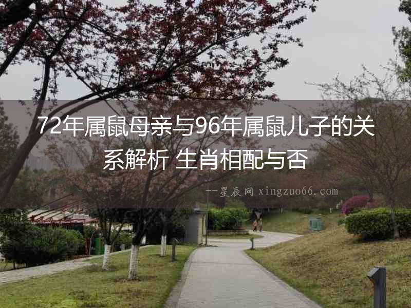 72年屬鼠母親與96年屬鼠兒子的關系解析 生肖相配與否
