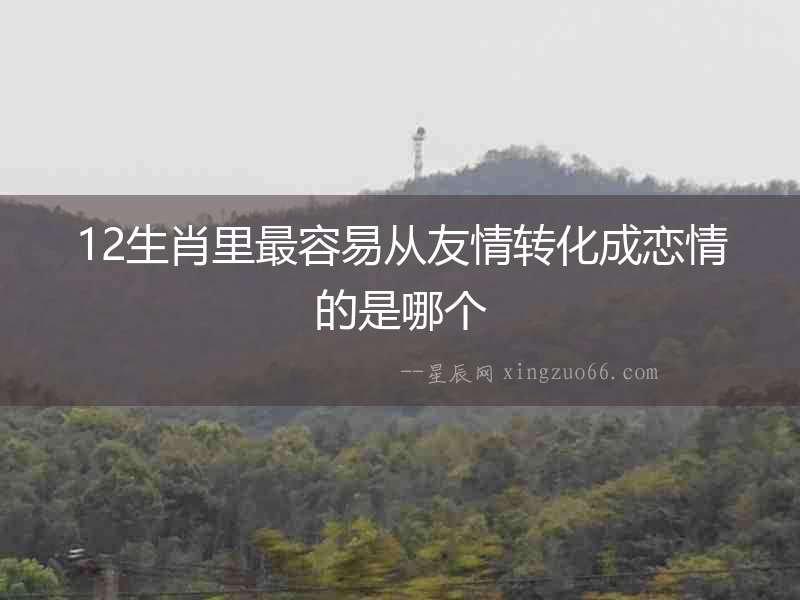 12生肖里最容易從友情轉(zhuǎn)化成戀情的是哪個(gè)