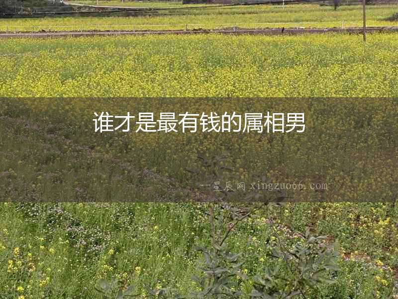 誰才是最有錢的屬相男