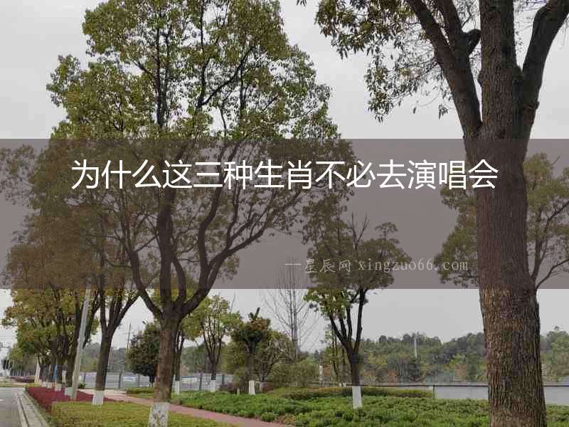為什么這三種生肖不必去演唱會(huì)