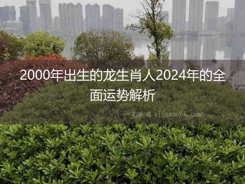 2000年出生的龍生肖人2024年的全面運勢解析