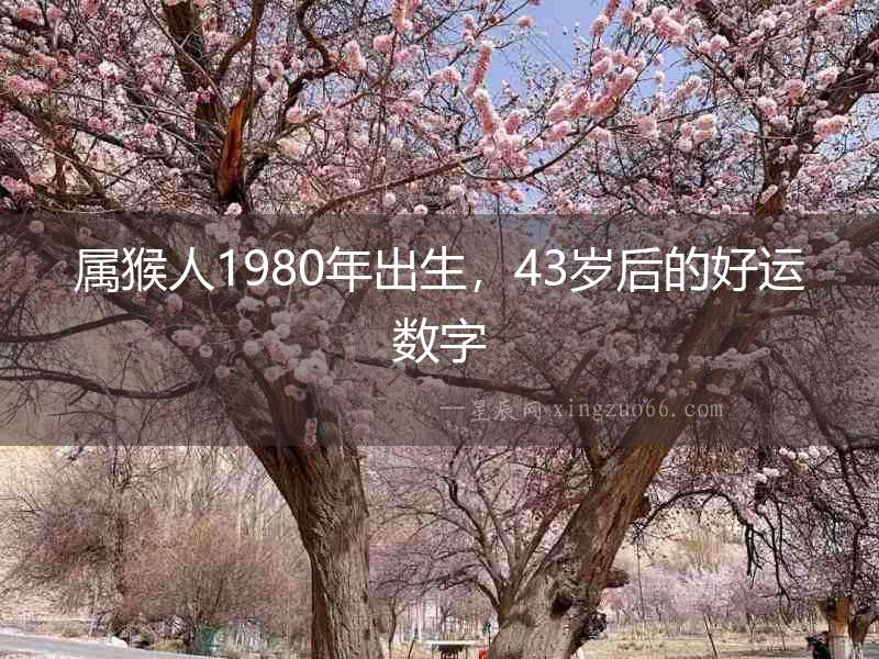 屬猴人1980年出生，43歲后的好運(yùn)數(shù)字