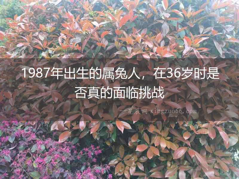 1987年出生的屬兔人，在36歲時(shí)是否真的面臨挑戰(zhàn)