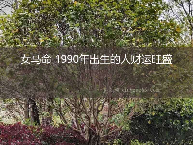 女馬命 1990年出生的人財運旺盛