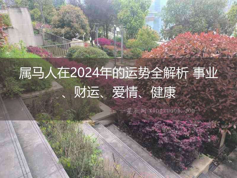 屬馬人在2024年的運勢全解析 事業、財運、愛情、健康