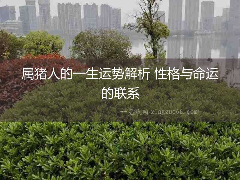 屬豬人的一生運(yùn)勢解析 性格與命運(yùn)的聯(lián)系