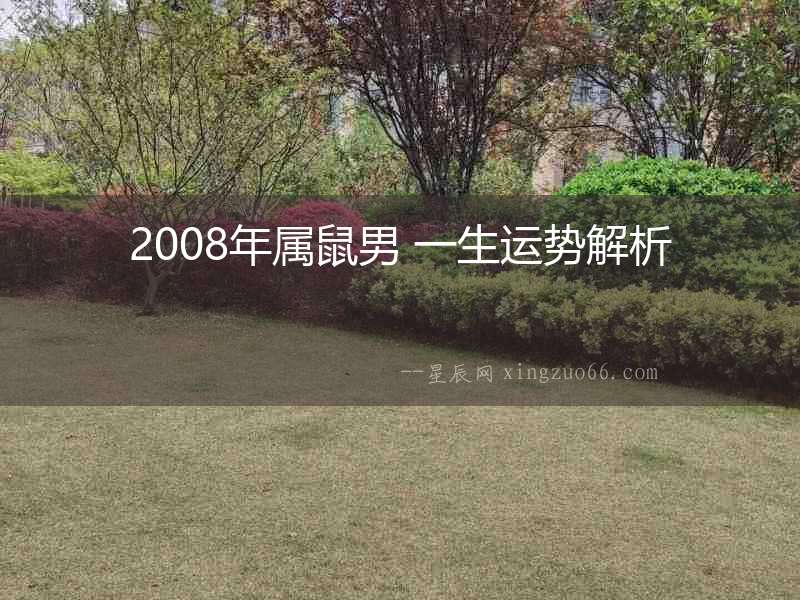 2008年屬鼠男 一生運勢解析
