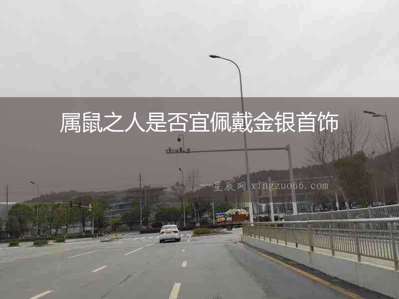 屬鼠之人是否宜佩戴金銀首飾