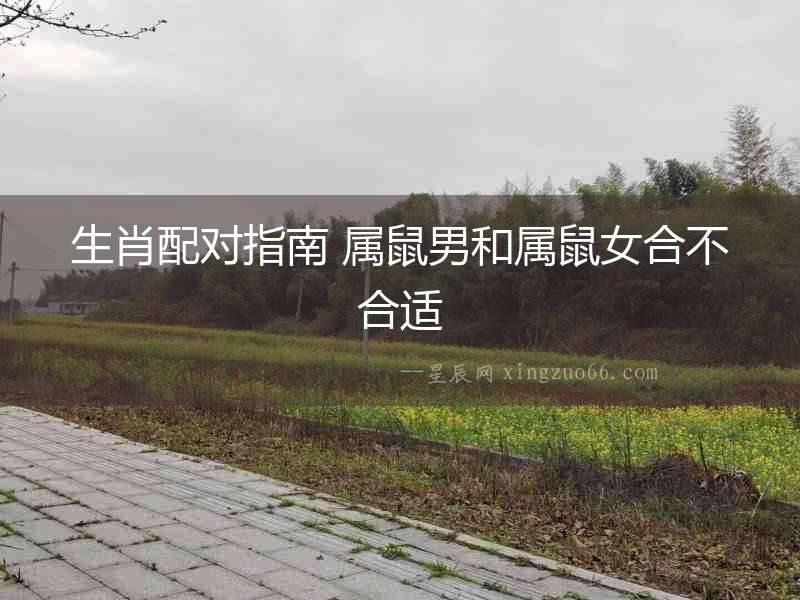 生肖配對指南 屬鼠男和屬鼠女合不合適
