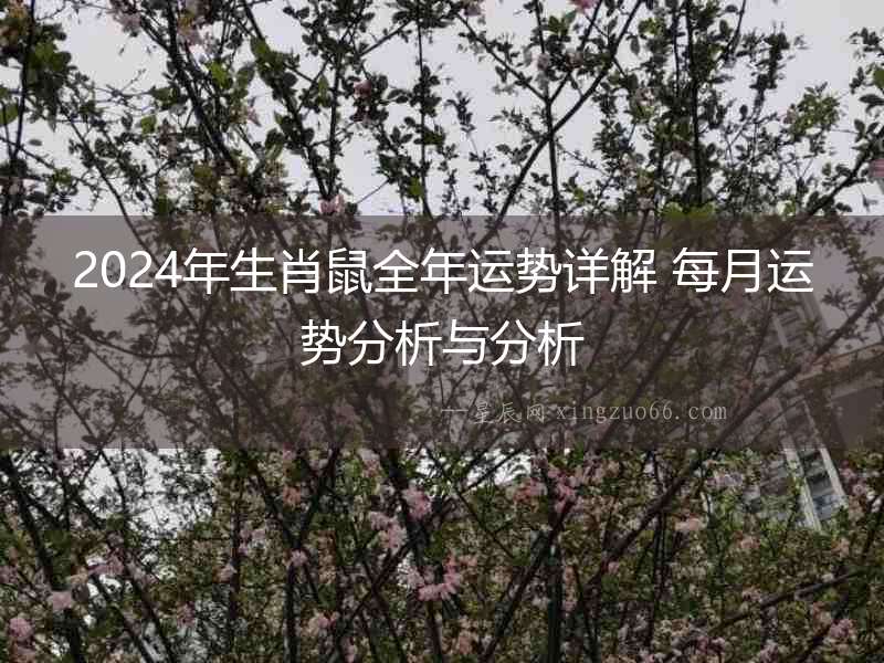 2024年生肖鼠全年運勢詳解 每月運勢分析與分析