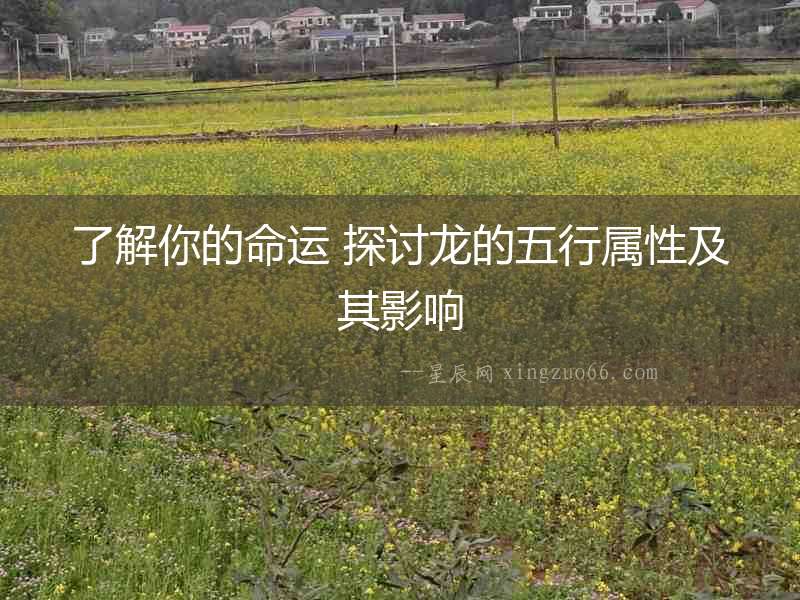 了解你的命運 探討龍的五行屬性及其影響