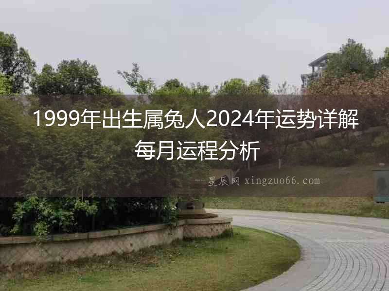 1999年出生屬兔人2024年運(yùn)勢詳解 每月運(yùn)程分析