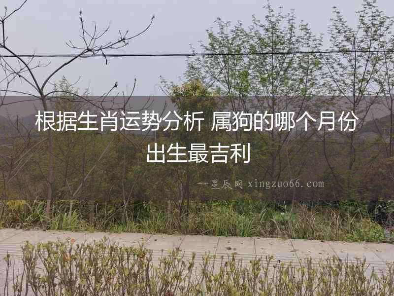 根據生肖運勢分析 屬狗的哪個月份出生最吉利