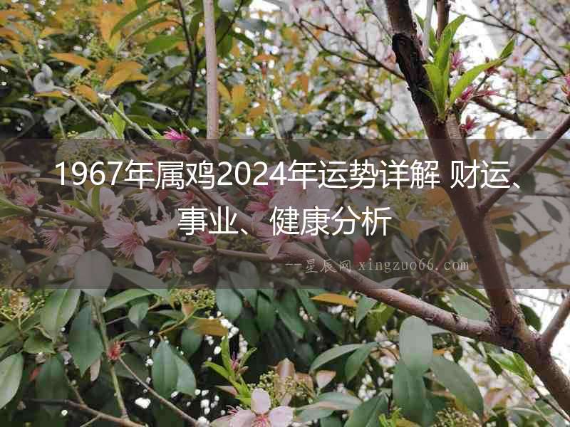 1967年屬雞2024年運(yùn)勢(shì)詳解 財(cái)運(yùn)、事業(yè)、健康分析