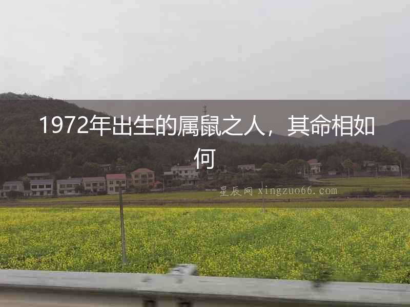 1972年出生的屬鼠之人，其命相如何